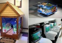 Radošas akvāriju idejas tiem, kam patīk mājās turēt zivtiņas