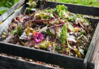 Saudzējam vidi un iepriecinām savus augus – veidojam dārzā komposta kaudzi