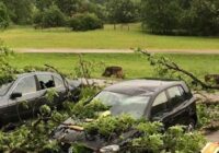 BTA: Stiprā krusa sabojājusi daudzus auto, ēkas cietušas no krītošiem kokiem